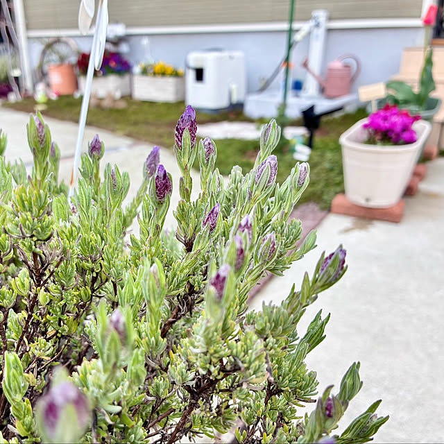 Junさんの実例写真