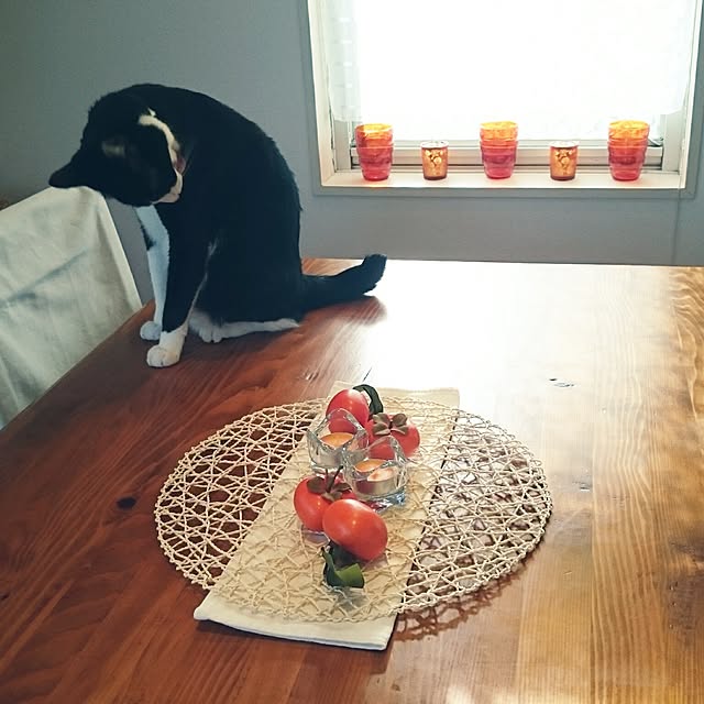 hiyo.pietさんの実例写真