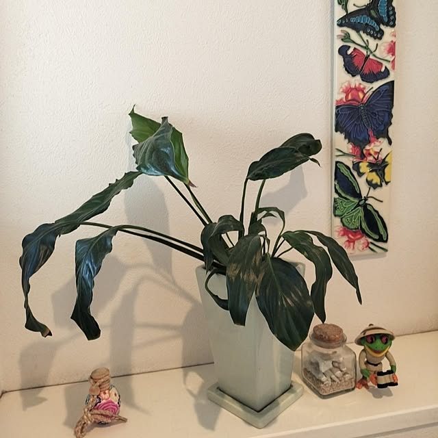 yukki51さんの部屋