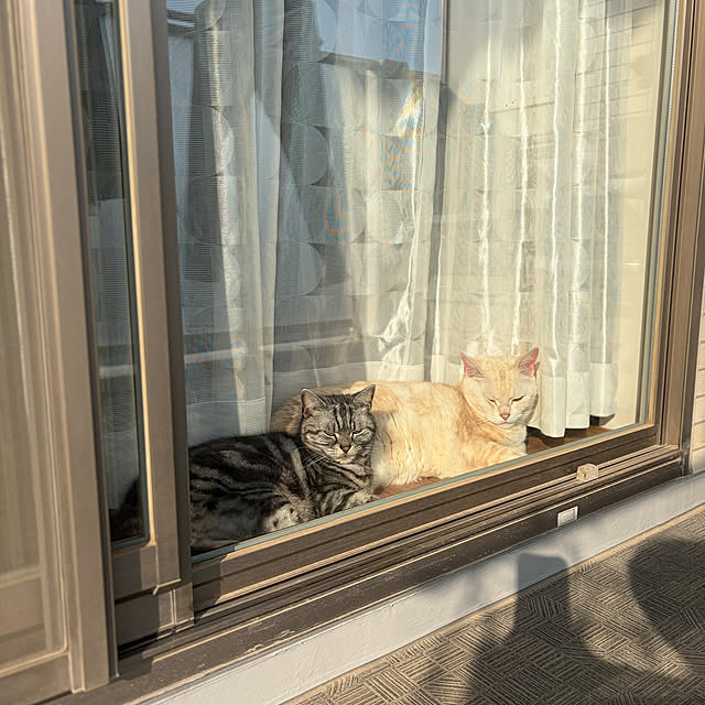 hiyupan88さんの部屋