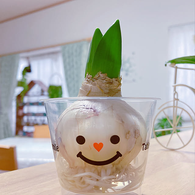 Hanakaさんの実例写真