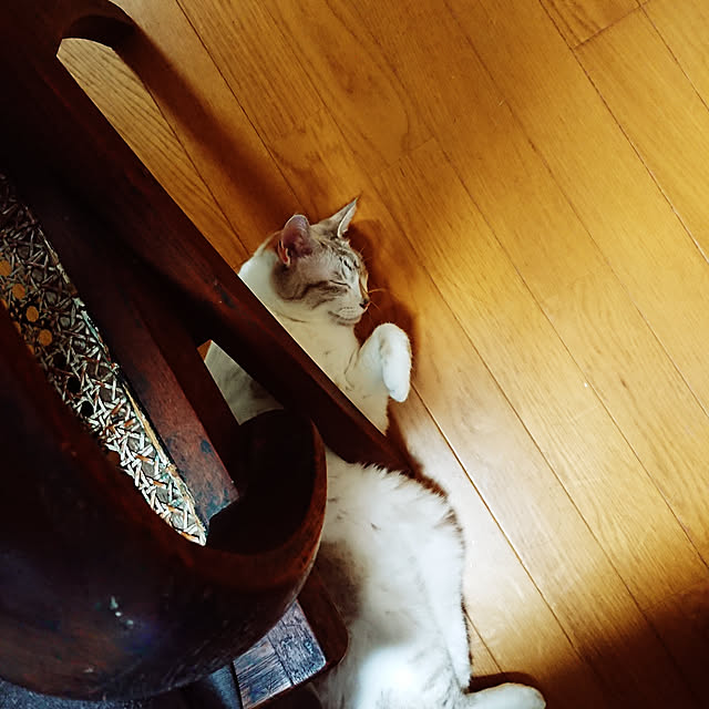 nachiさんの実例写真