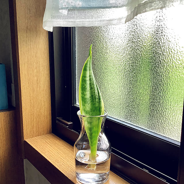 haruminさんの実例写真