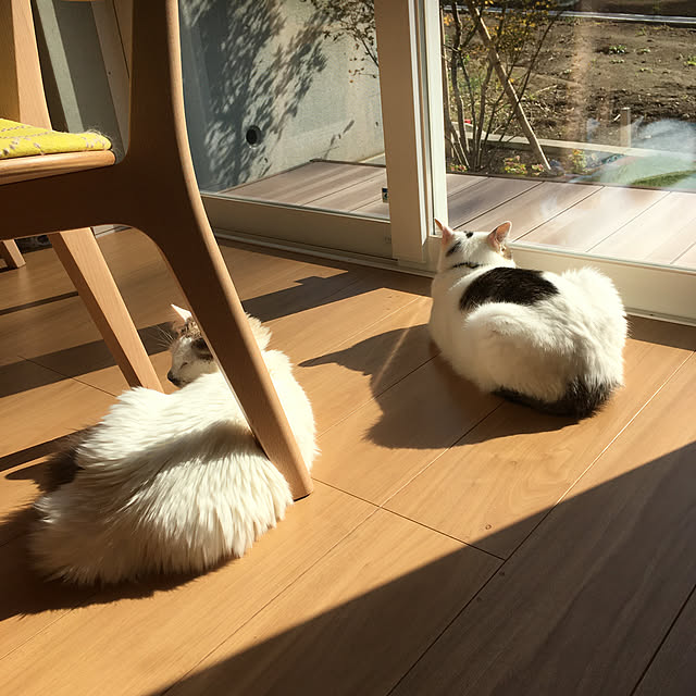 nyancohomeさんの実例写真