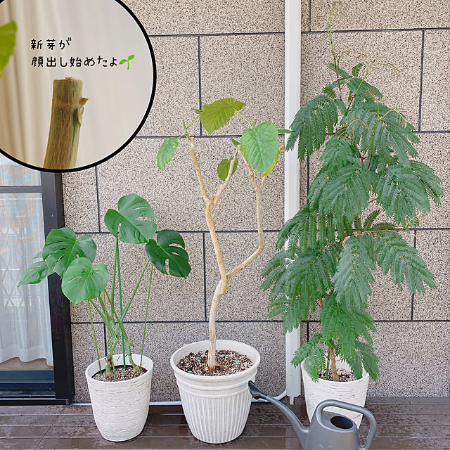 yukaさんの部屋