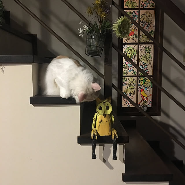 shigimiさんの実例写真