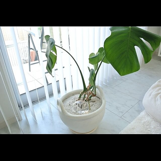 interior_amiさんの実例写真