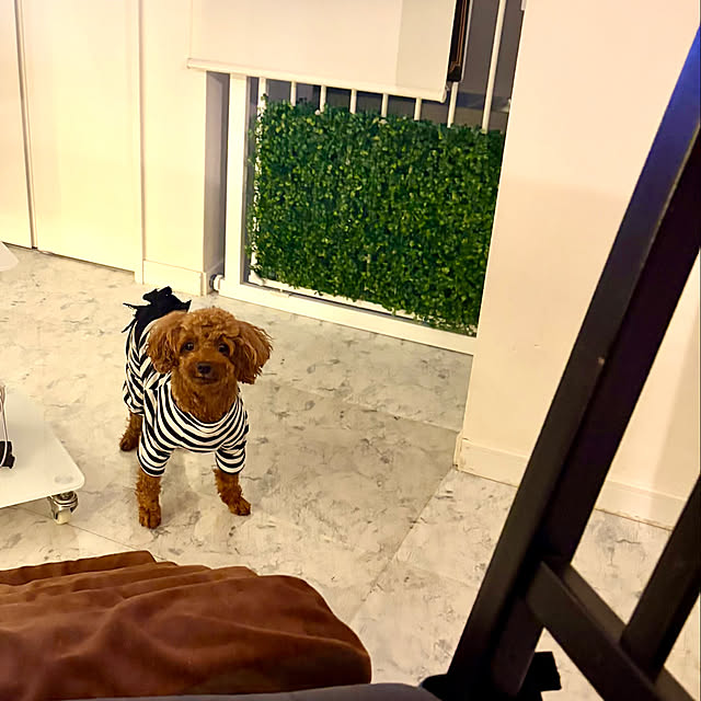 MOMOMAMAさんの実例写真