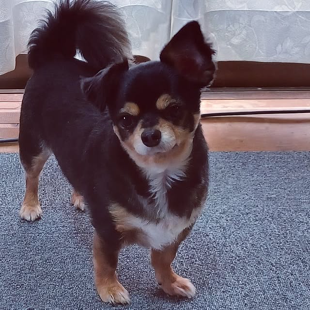 hiro.904さんの部屋
