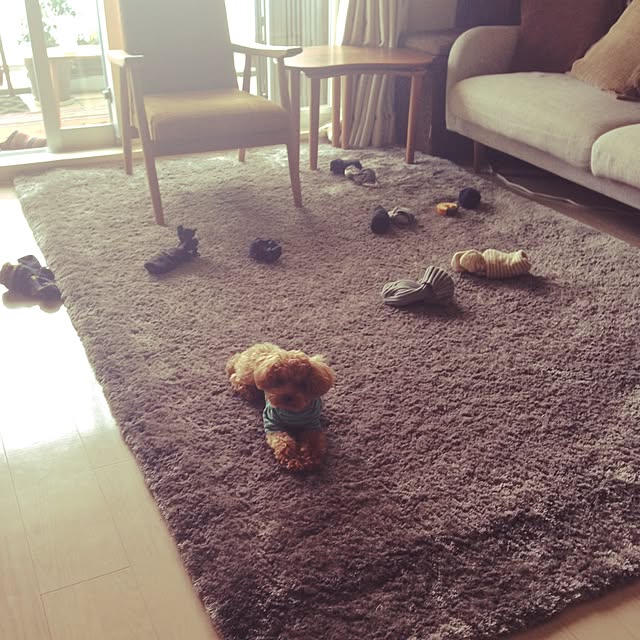 yuchiさんの実例写真