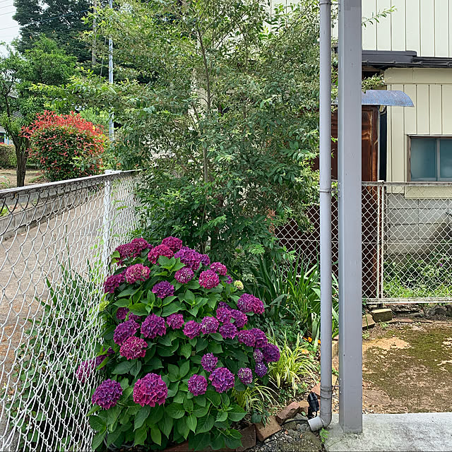 masakoさんの実例写真