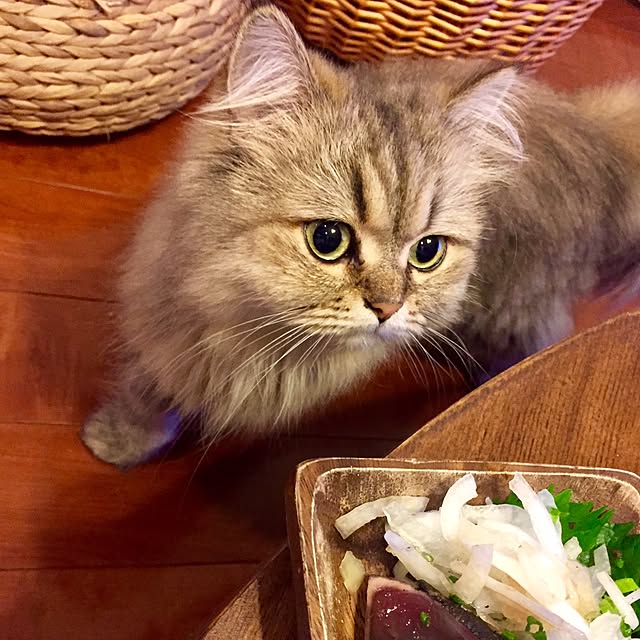 butachanさんの実例写真