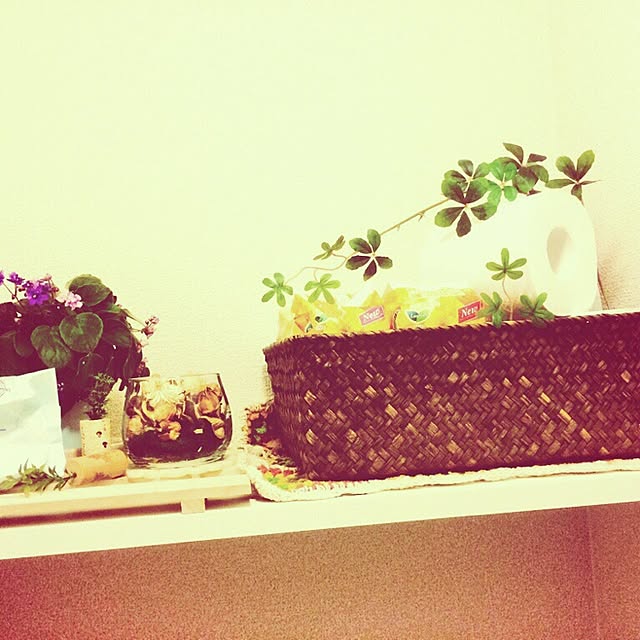 バス/トイレ/観葉植物/ダイソーのインテリア実例 - 2014-11-18 22:26:20