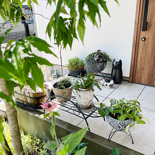 Maruさんの部屋