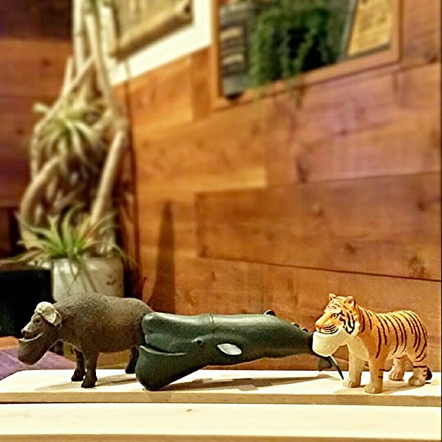 mioさんの実例写真