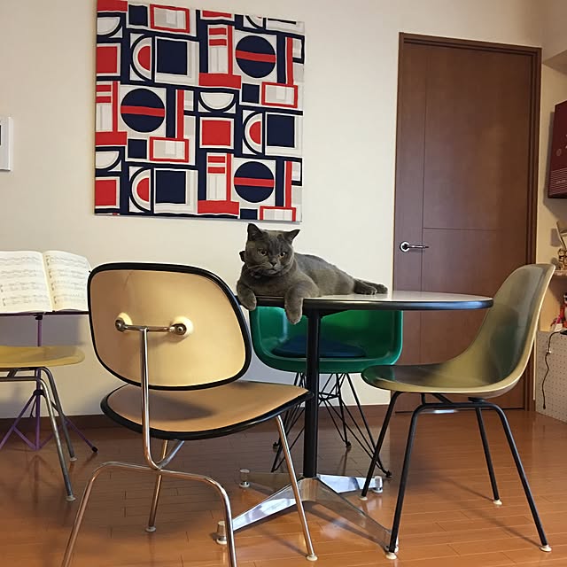 Shojiさんの実例写真