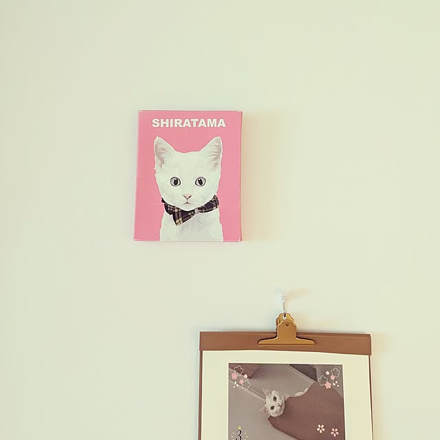 shiratamaさんの実例写真