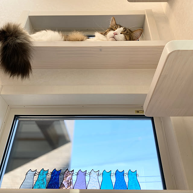 furitamaさんの実例写真