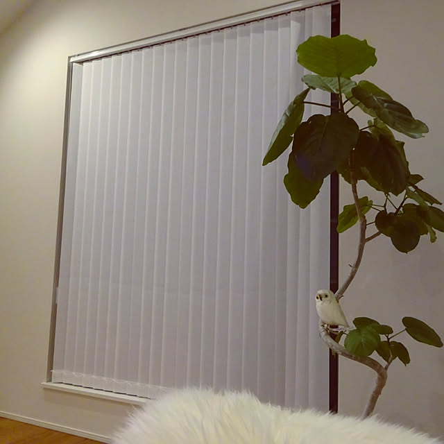 Momokaさんの実例写真