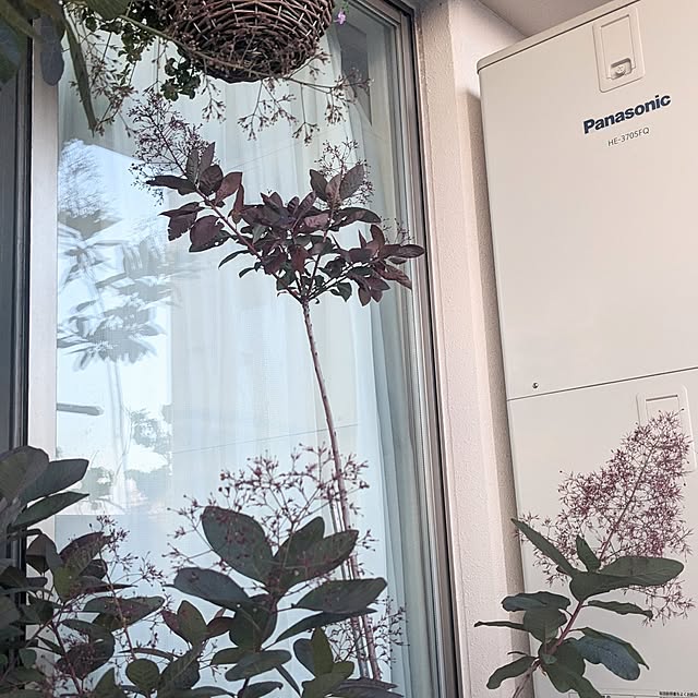 flannel.さんの部屋