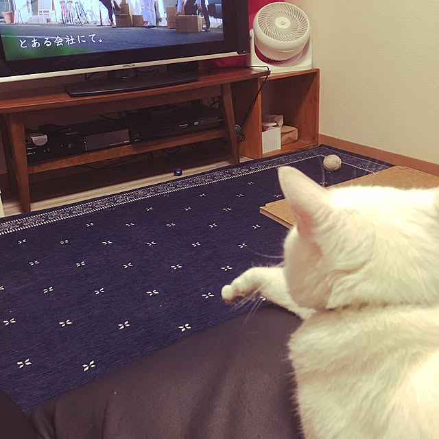 nyam0v0さんの実例写真