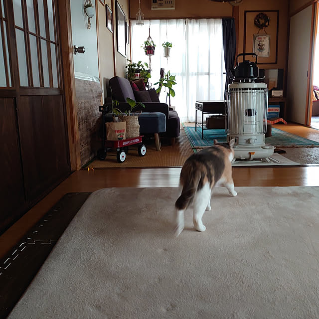 fukuさんの実例写真