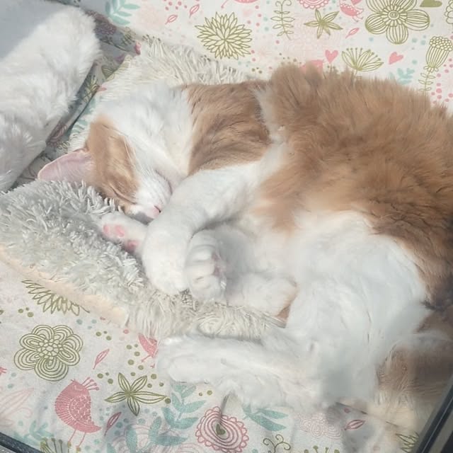 mori_6_12さんの部屋