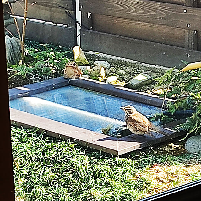 e-mailさんの実例写真