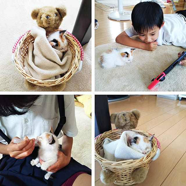 kaoriさんの実例写真