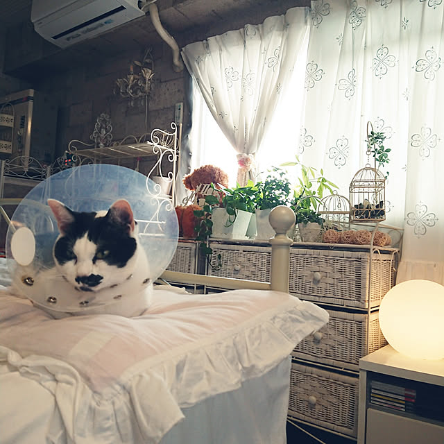 asuminさんの実例写真