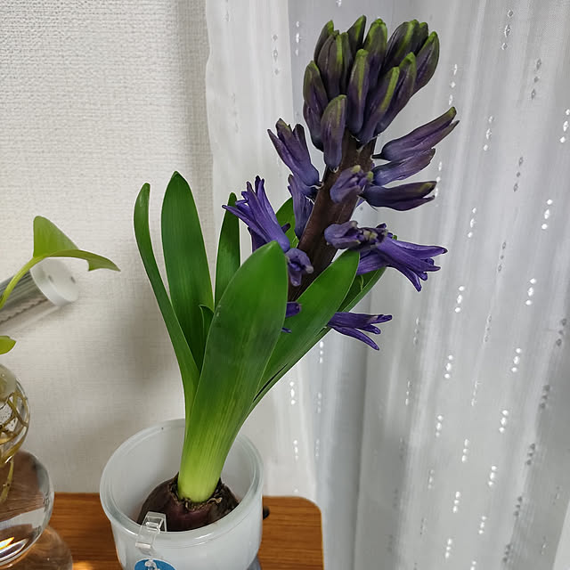marosukeさんの実例写真