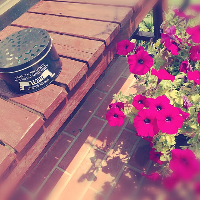 hmskr0319さんの実例写真