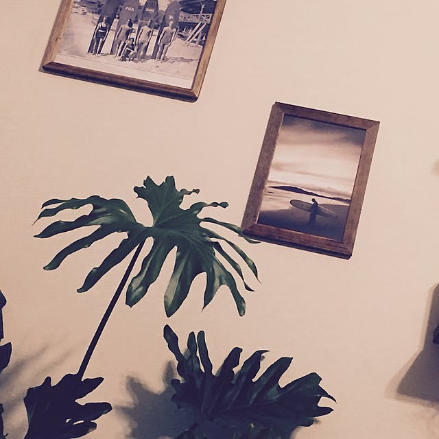kenkenさんの実例写真
