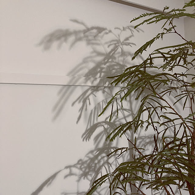 s.p.sunaoさんの実例写真