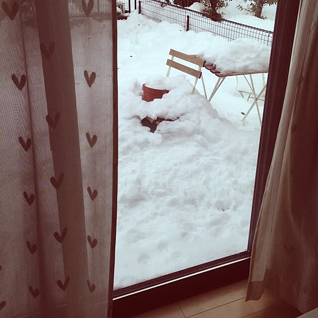 Reiさんの実例写真