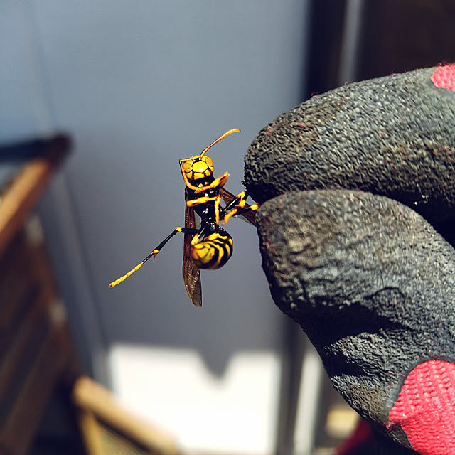 moccyan555さんの実例写真