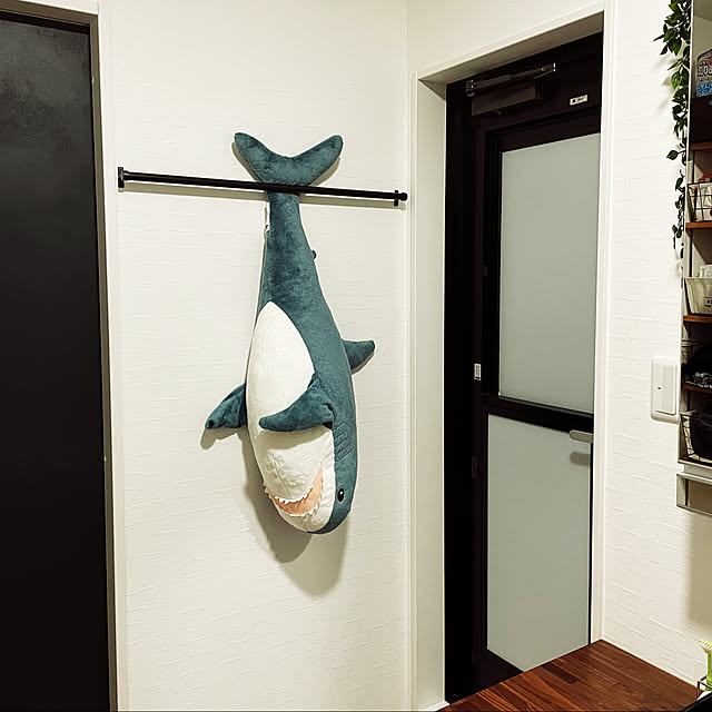 kokopelliさんの実例写真