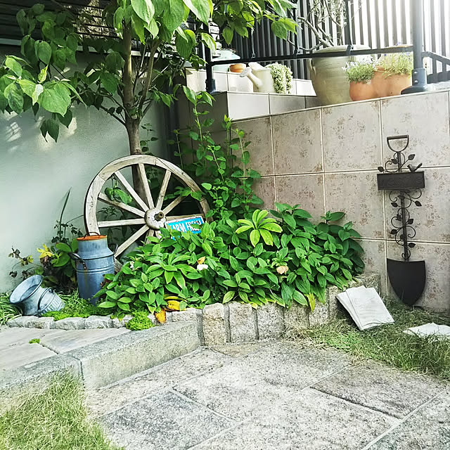MMYSさんの実例写真