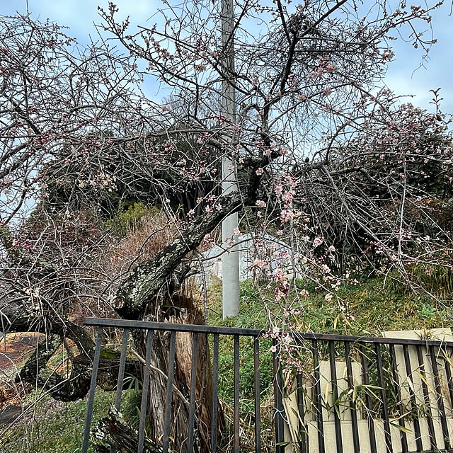 mogumoguさんの部屋