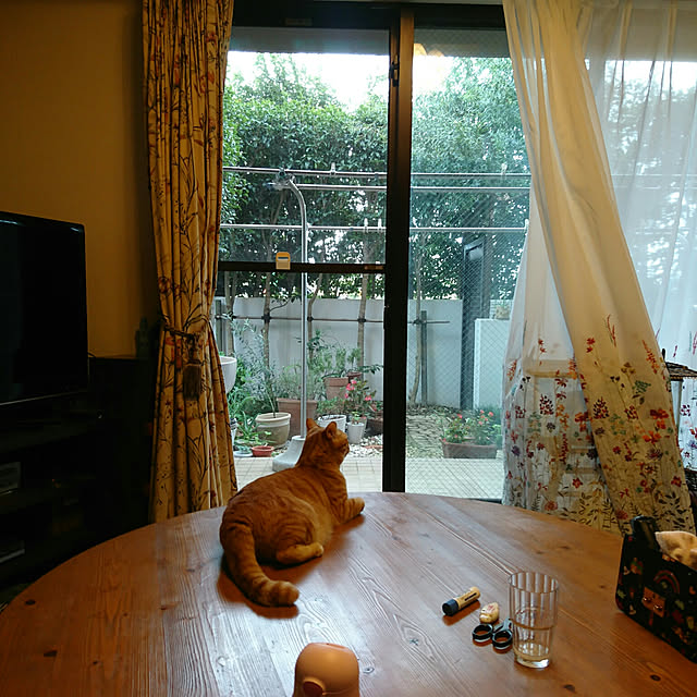 okyosan101さんの実例写真