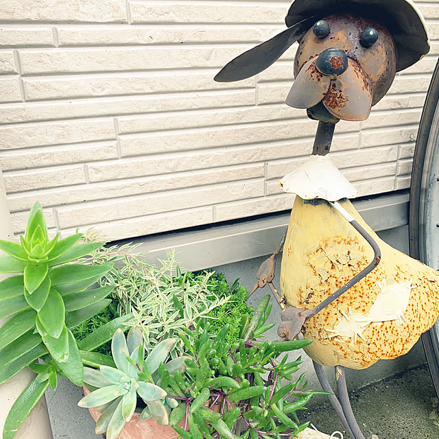 lemonさんの実例写真