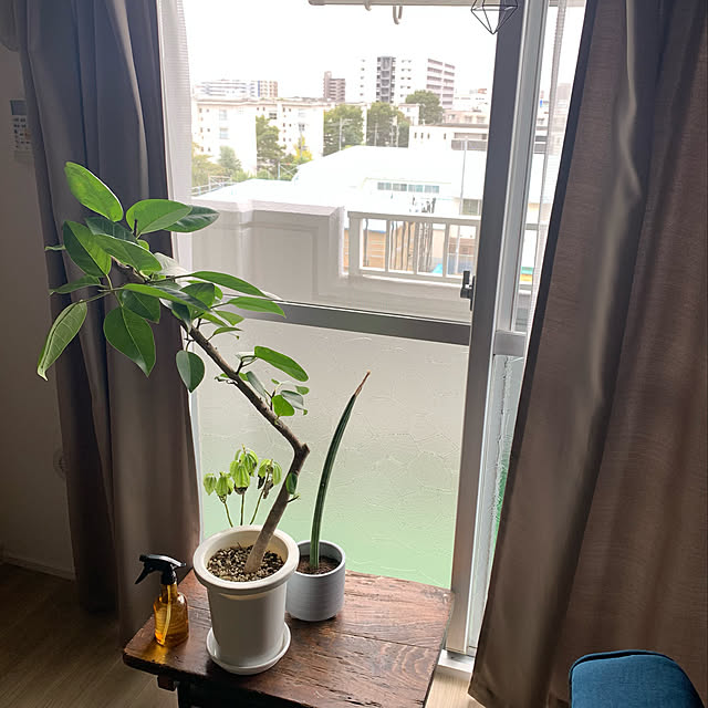 sutereoさんの実例写真