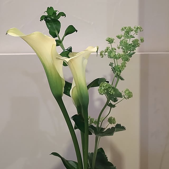 t.yumiさんの部屋