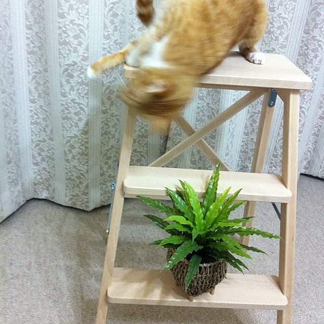 Yasumiさんの実例写真