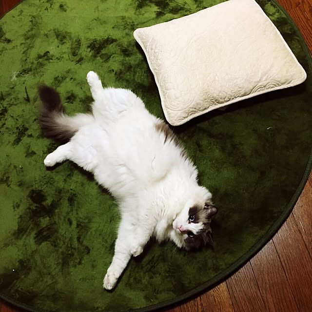 mimimillyさんの実例写真