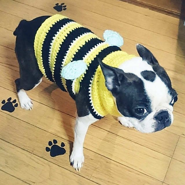maiさんの実例写真