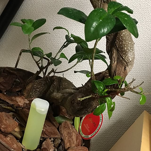 dokupin117さんの実例写真