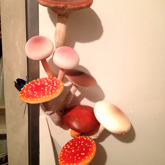 alcalinekoさんの実例写真