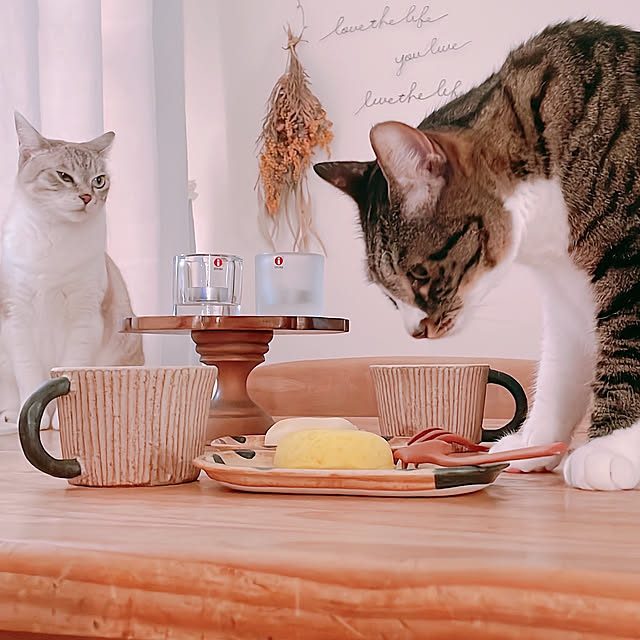 milkcocoaさんの実例写真