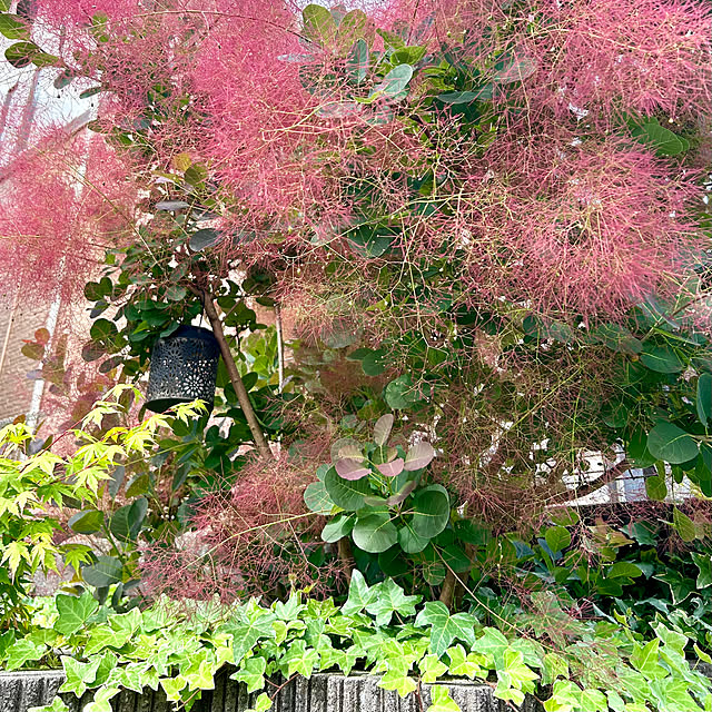 vol.3665写真